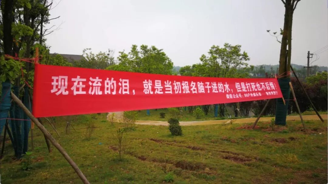 微信步行计步器怎么使用_微信计步器的工作原理_微信有走路计步器在哪