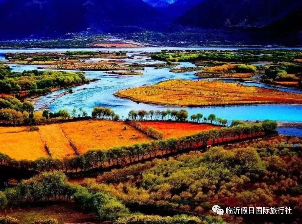东方康林_东方炻选择女人_东方康林选择