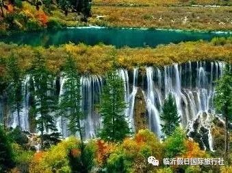 东方康林_东方康林选择_东方炻选择女人