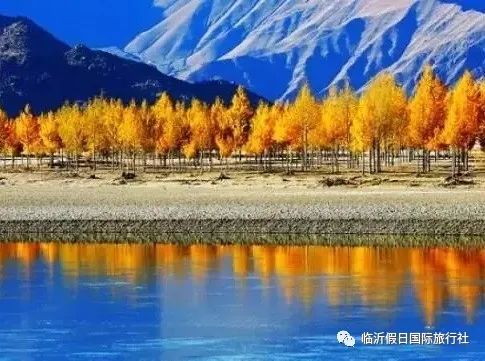 东方康林选择_东方炻选择女人_东方康林