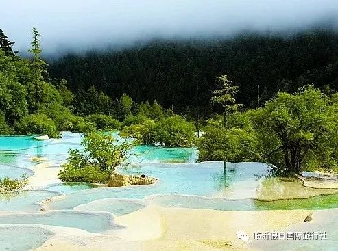 东方康林_东方康林选择_东方炻选择女人
