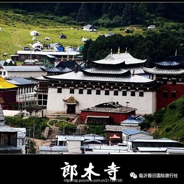 东方康林_东方炻选择女人_东方康林选择