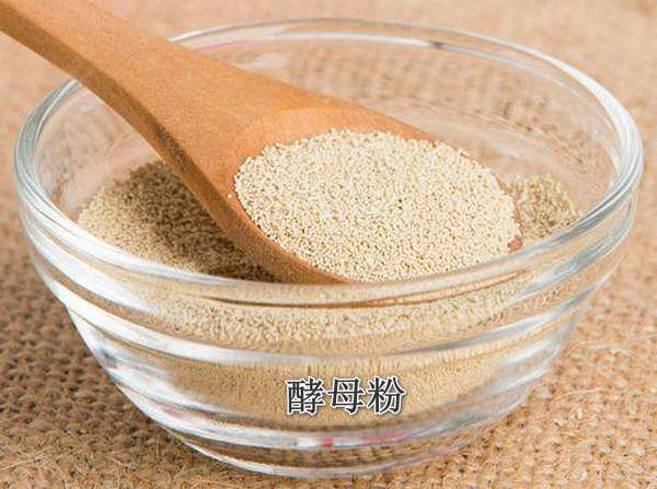 酵母素减肥效果咋样_酵母素能减肥是真的假的呀_酵母素减肥有用吗