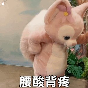 健身椅推荐知乎_健身椅挑选_健身用的椅子