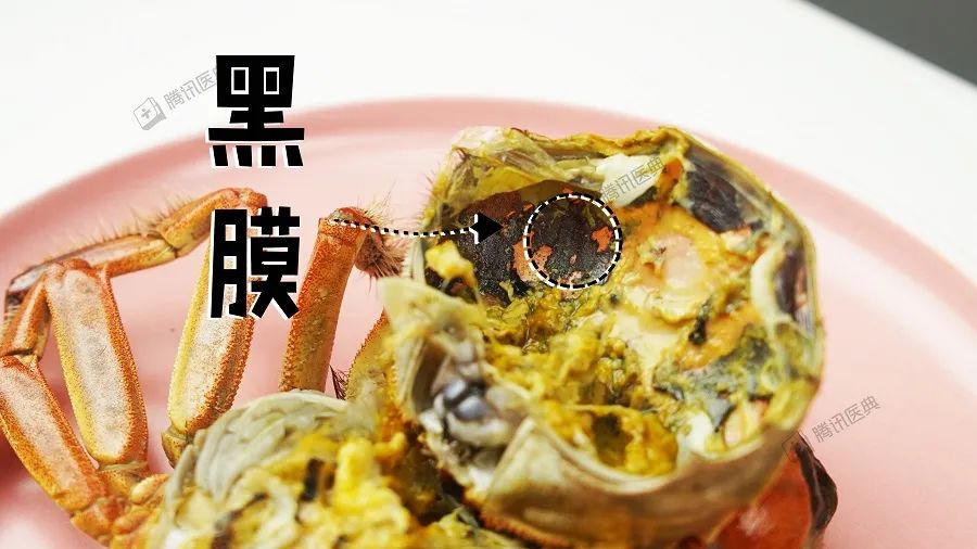 螃蟹能吃的部位图解_螃蟹图示_螃蟹详细图解
