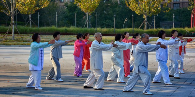 健身椅使用方法图片_老年人运动方式_预防老年病运动方法