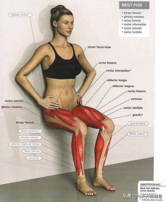 恶魔之椅锻炼方法_健身椅支撑怎么做_靠墙蹲