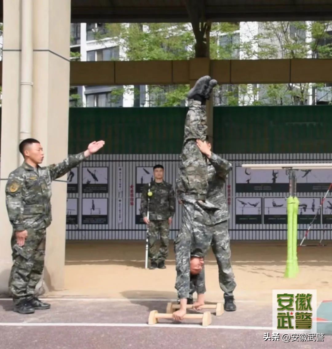 部队双杠摆动臂屈伸训练方法_部队双杠1到8解说大全_部队双杠前摆上分解图