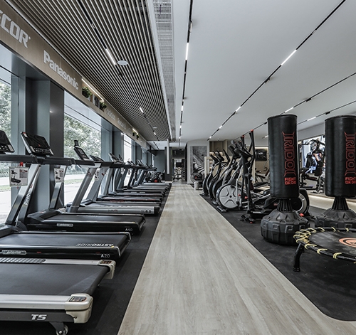 健身器材使用方法_多功能健身椅使用视频_家用跑步机品牌