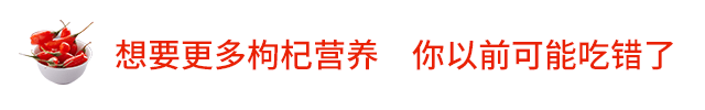 问鼎app官网下载安装 喝100杯枸杞水，也顶不上一袋原浆！清肝明目，益气补血，限量5000份