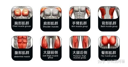 问鼎娱乐官网下载 疯拿铁、创思维、斯诺德、马西、军霞、卓牌、美力德、康强