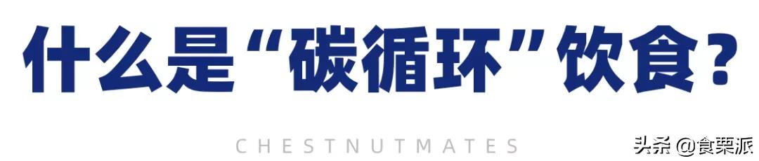 碳循环减肥效果_健美比赛前冲碳食物_碳循环饮食