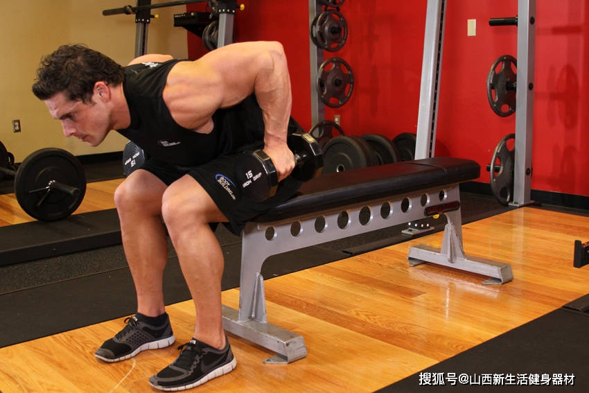 2025年最精准免费资料 哑铃椅的正确使用方法