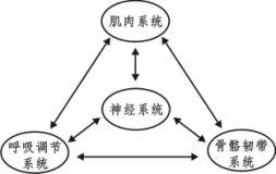 力量综合训练器械使用方法_力量训练机器_综合力量训练器