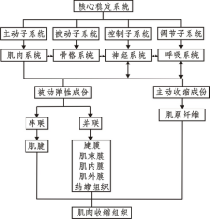 综合力量训练器_力量训练机器_力量综合训练器械使用方法