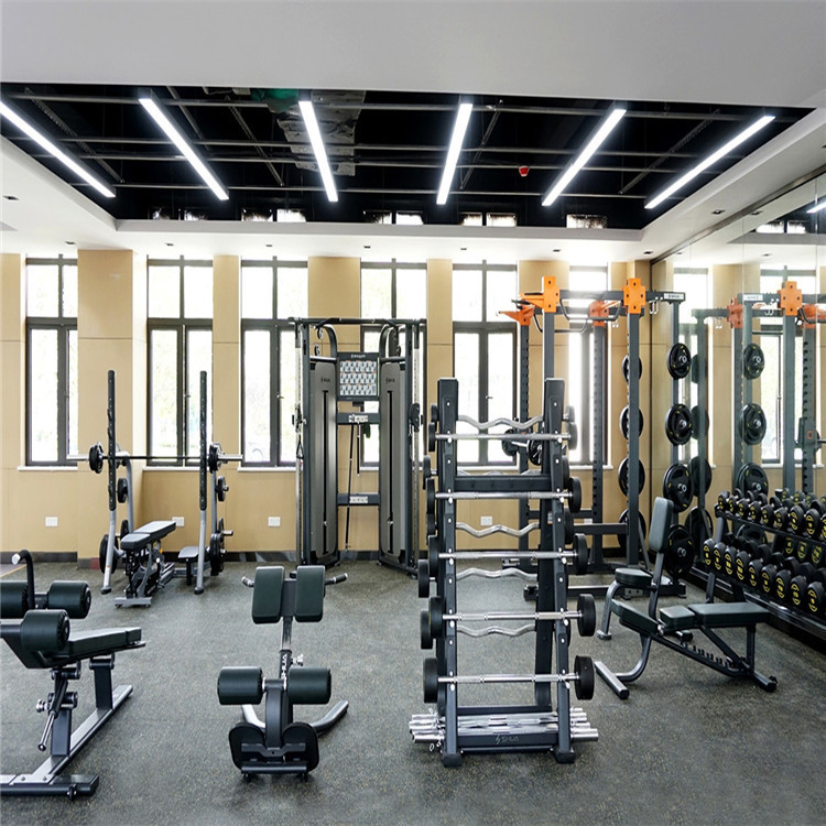 2025年天天免费资料,2025 实地厂家健身房健身器材,健身房力量型健身器材,二头肌训练器