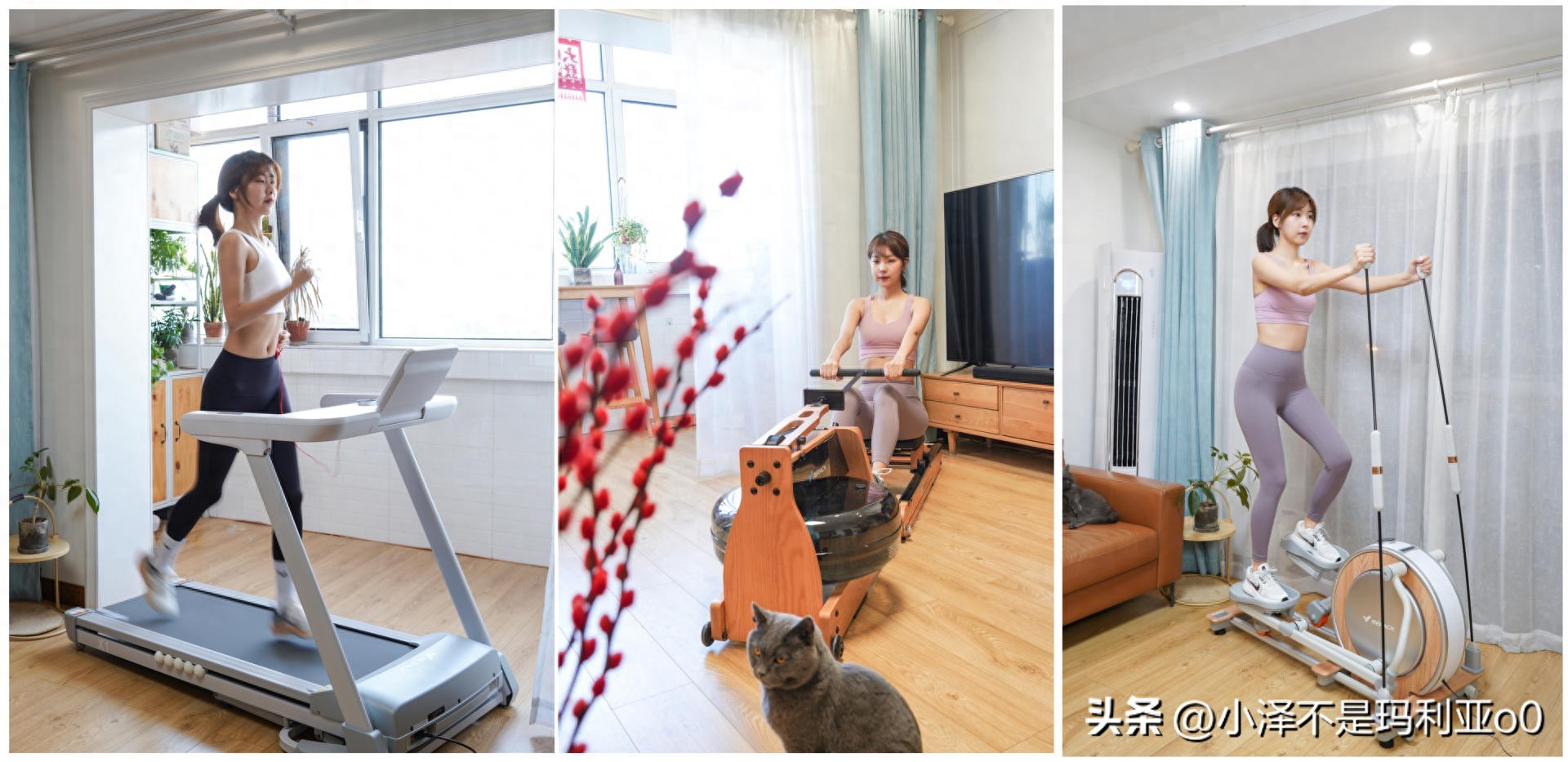 家用跑步机VS椭圆机VS划船机_如何选择适合自己的家用健身器械_家用跑步机什么牌子的好