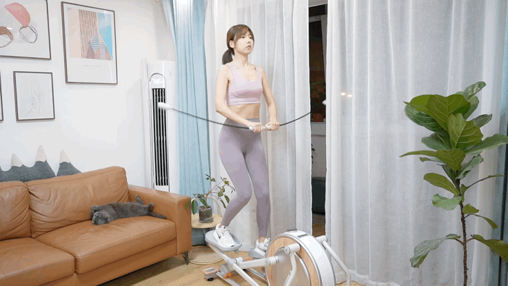 如何选择适合自己的家用健身器械_家用跑步机VS椭圆机VS划船机_家用跑步机什么牌子的好