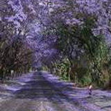 2025年正版资料免费最新版本 2025年中国办公室设计推荐：最新办公室设计权威测评榜单发布