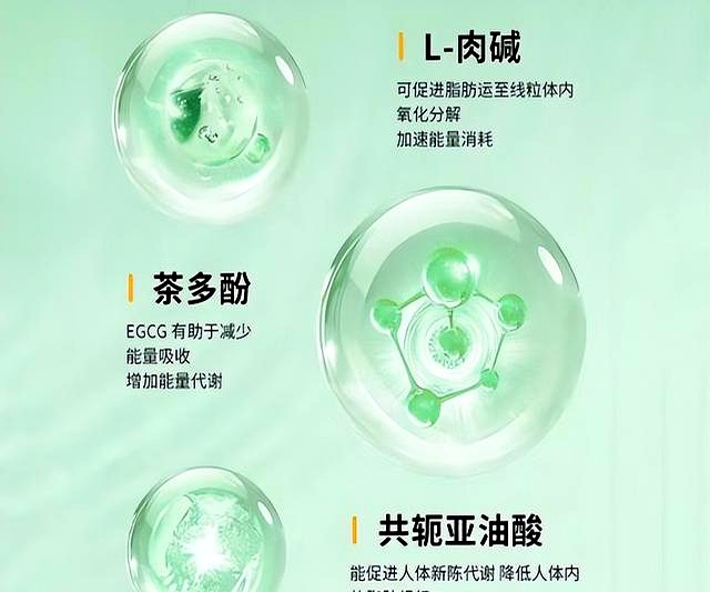 甘伯宗丽颖胶囊功效_哪款减肥药效果好不反弹_网红减肥品评测