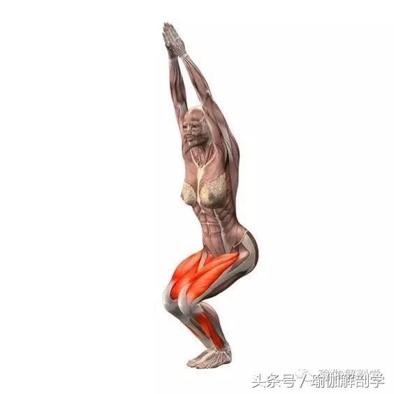 问鼎app官网下载安装 幻椅式（深蹲）的小改变，大不同！