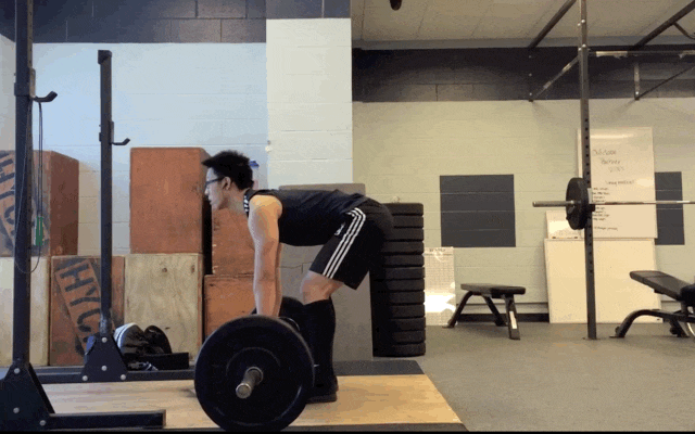 深蹲硬拉引体推举卧推划船_健身椅锻炼方法_健身王牌动作