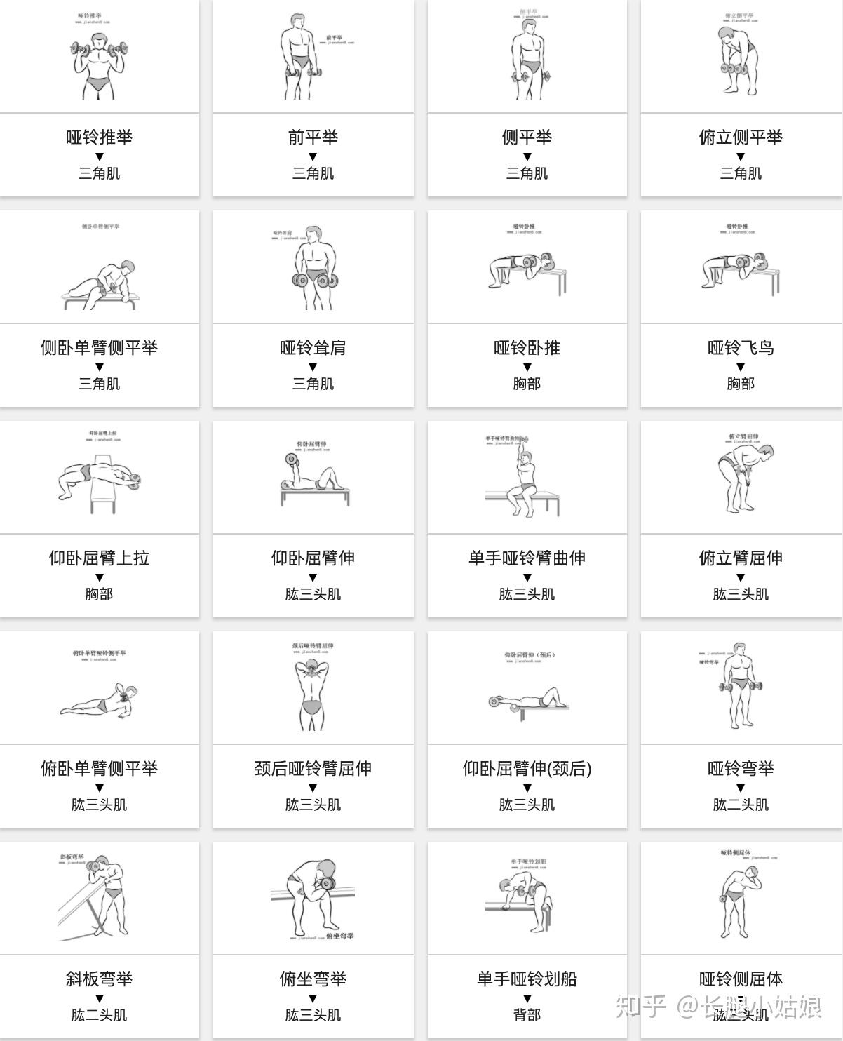哑铃健身椅_健身椅哑铃凳_哑铃凳健身动作大全