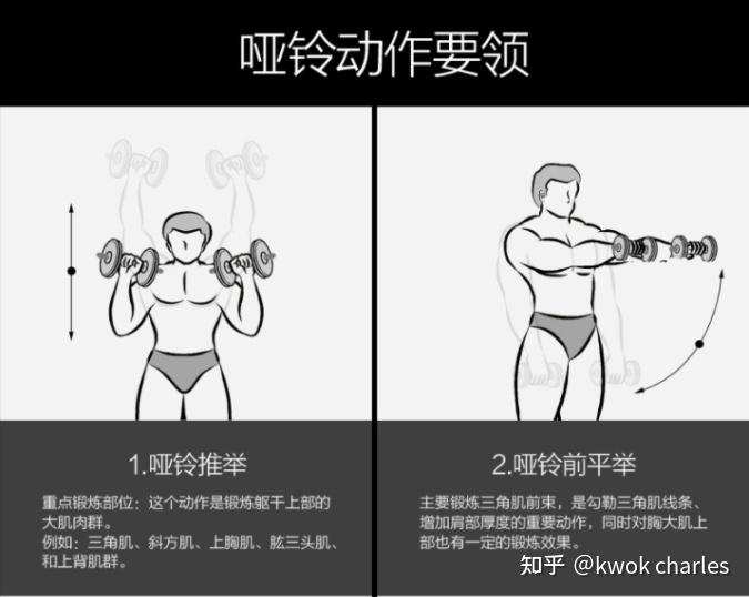 哑铃健身椅_哑铃选购指南_家用哑铃品牌推荐