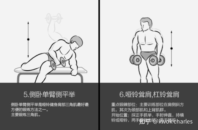 哑铃健身椅_哑铃选购指南_家用哑铃品牌推荐