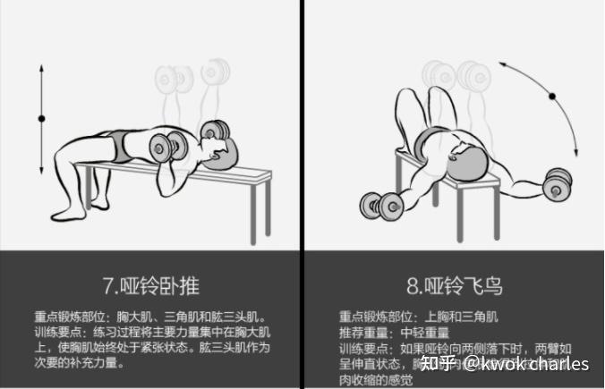 哑铃选购指南_家用哑铃品牌推荐_哑铃健身椅