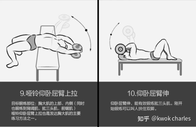 哑铃健身椅_家用哑铃品牌推荐_哑铃选购指南