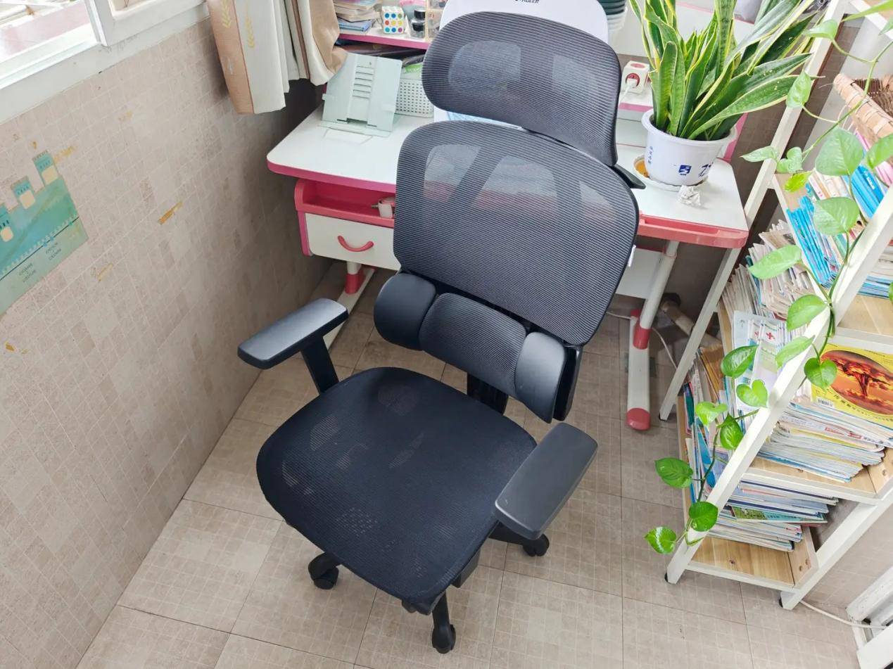 人体工学椅选购指南_最新上下摇晃的健身椅_十大口碑人体工学椅推荐