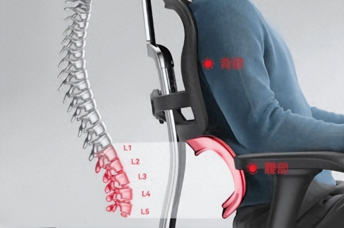 人体工学椅护腰性能排名_健身椅的正确使用方法_人体工学椅排名前十品牌