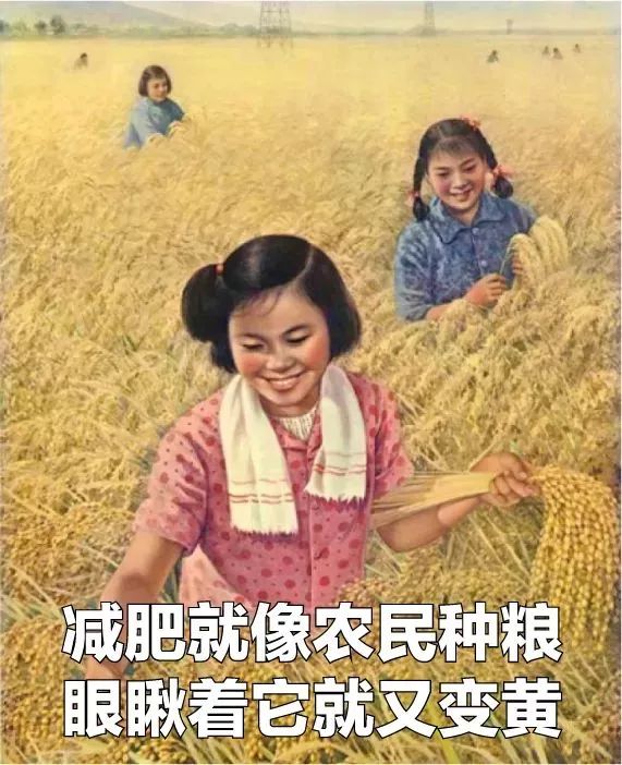 体脂率肌肉量骨密度_减肥健美操40分钟_中年女性健康减肥