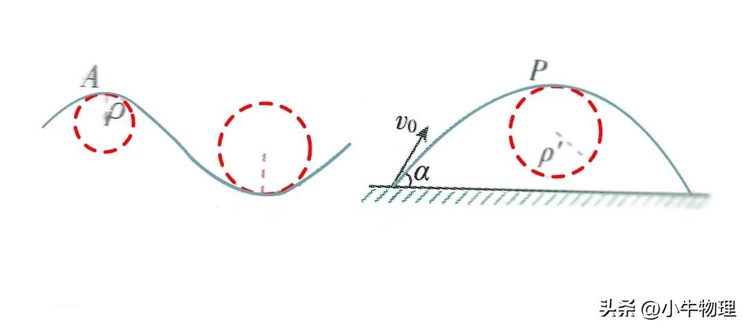 曲线运动 合外力是变力_匀速圆周运动受力分析_变速圆周运动受力分析