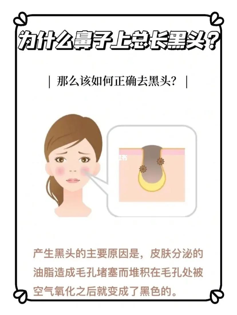 2025年天天免费资料,2025 用“魔法”把鼻子变漂亮，教你正确去黑头