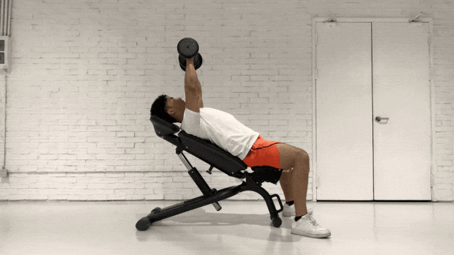 背部训练优先级_大飞鸟综合训练器_健身六大黄金肌群