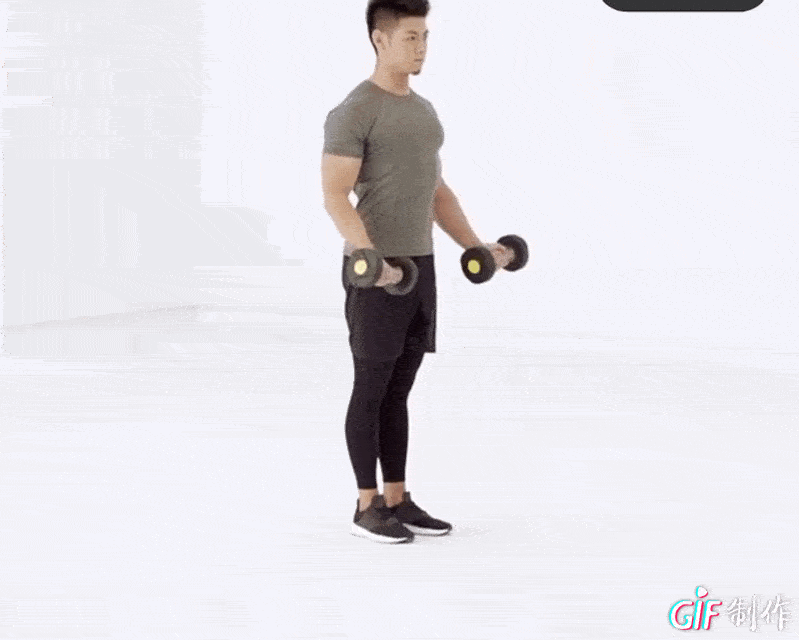 健身六大黄金肌群_大飞鸟综合训练器_背部训练优先级