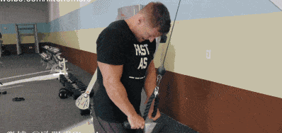 健身六大黄金肌群_背部训练优先级_大飞鸟综合训练器