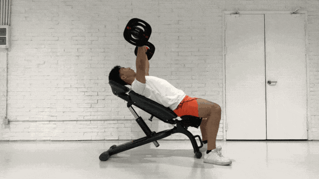 大飞鸟综合训练器_健身六大黄金肌群_背部训练优先级