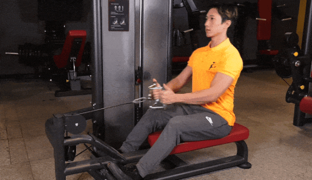 背部训练优先级_大飞鸟综合训练器_健身六大黄金肌群