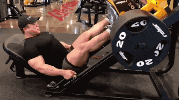 健身六大黄金肌群_大飞鸟综合训练器_背部训练优先级